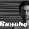 Bonobo la Bucuresti in 13 Octombrie