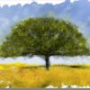 Photoshop CS5 Photoshop CS5